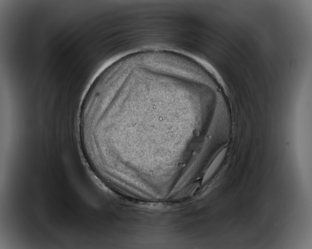 X0000086000903200704131803