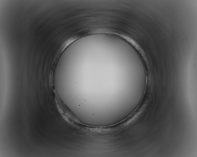 X0000086000905200704131802