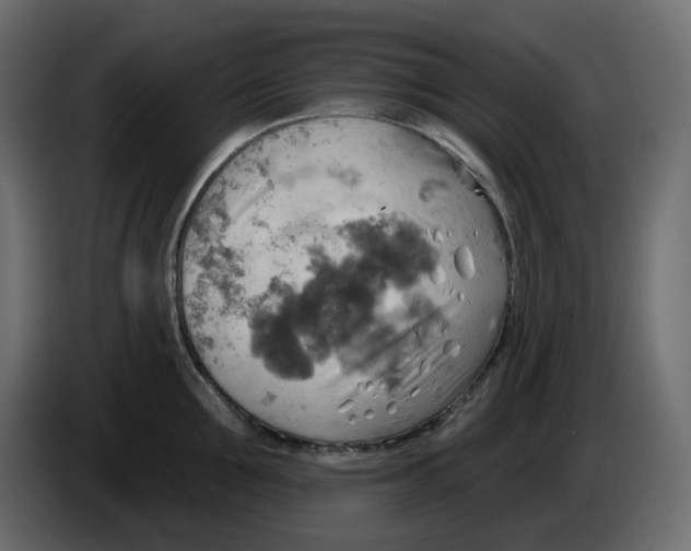 X0000086000907200704131802