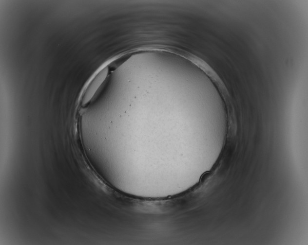 X0000086000908200704131802