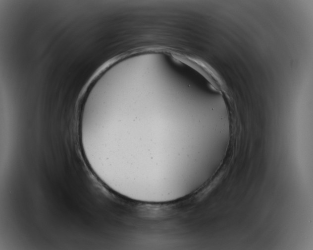 X0000086000910200704131802