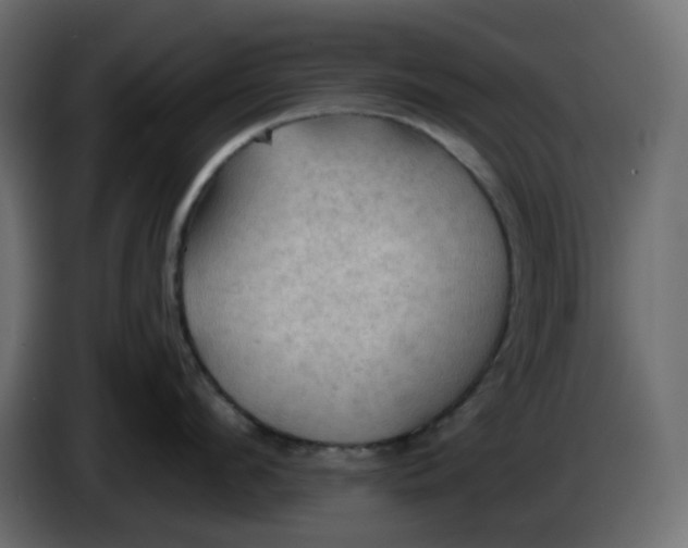 X0000086000912200704131802