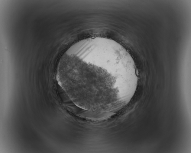 X0000086000913200704131802