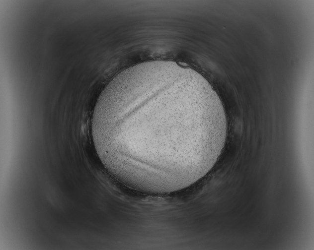 X0000086000914200704131802