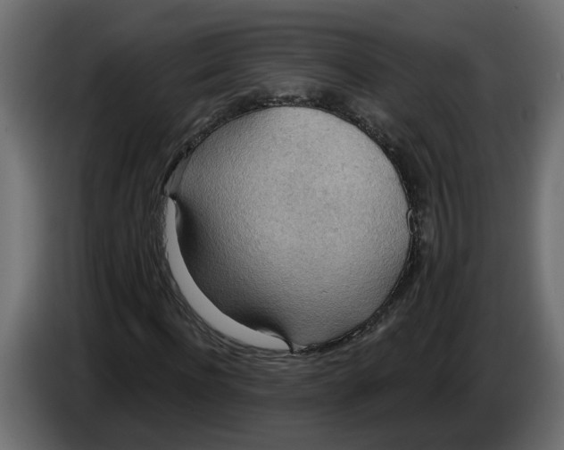 X0000086000916200704131802