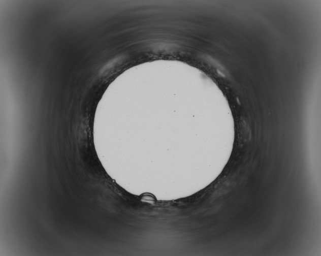 X0000086000918200704131802