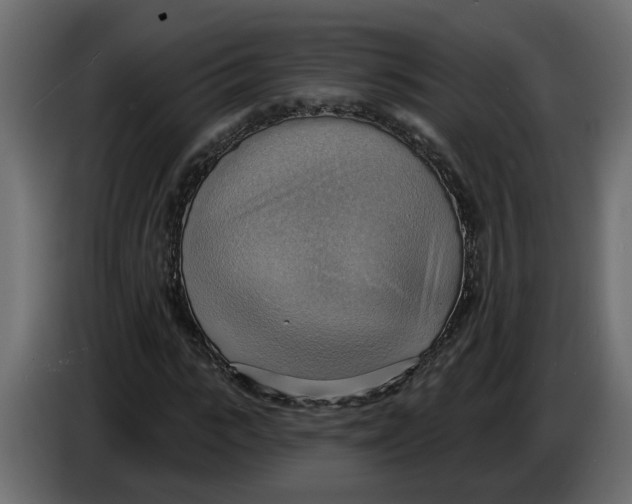 X0000086000919200704131802