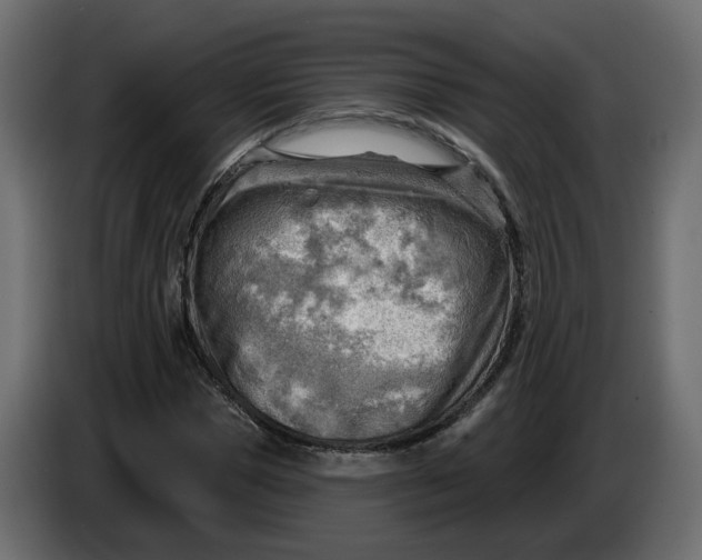 X0000086000921200704131802