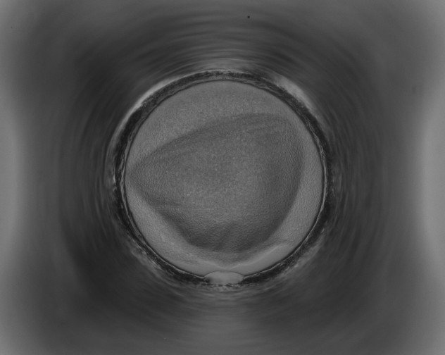 X0000086000923200704131802