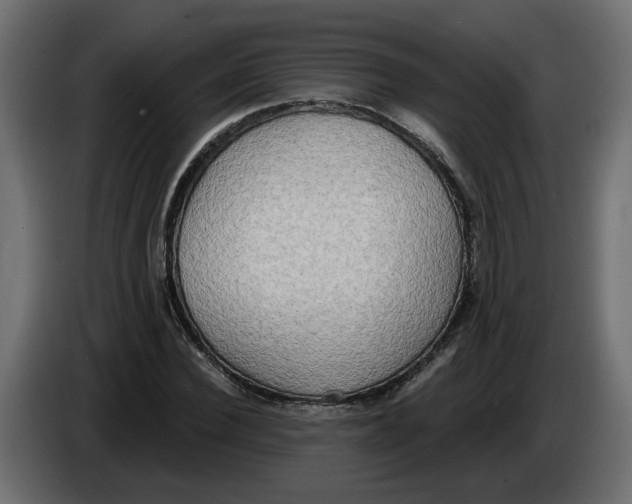 X0000086000924200704131802