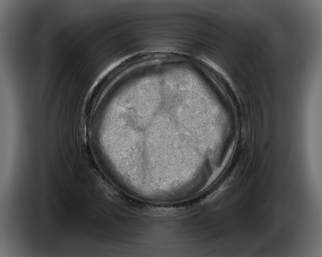 X0000086000925200704131802