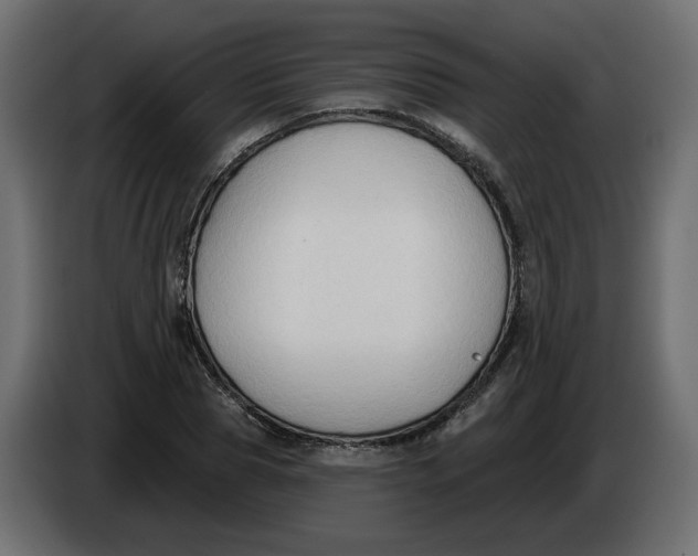 X0000086000929200704131802