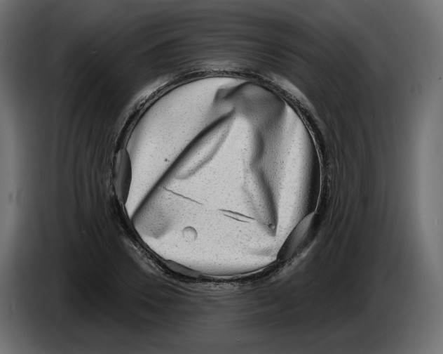 X0000086000930200704131802