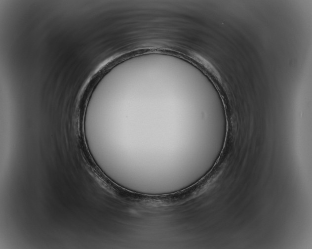 X0000086000931200704131802