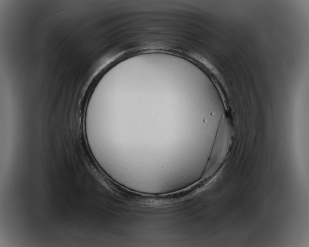 X0000086000933200704131802