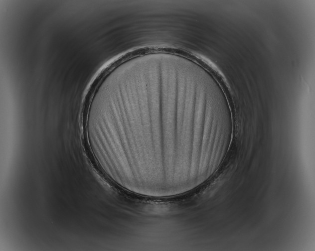 X0000086000935200704131802