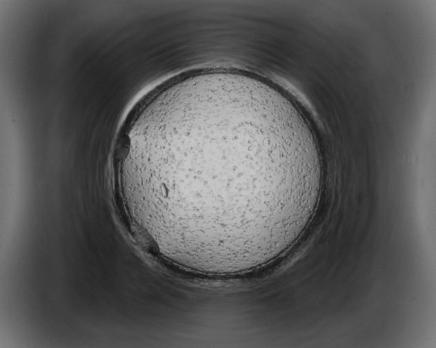 X0000086000936200704131802