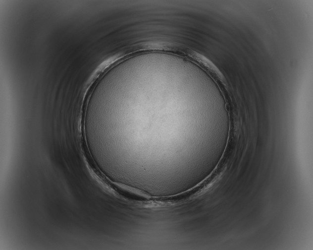 X0000086000938200704131802