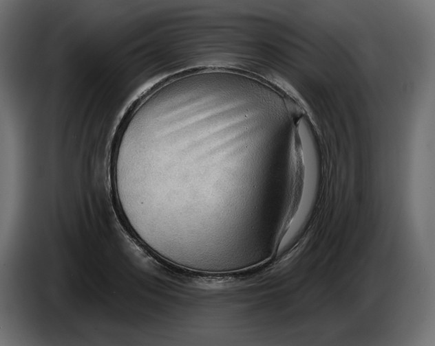 X0000086000939200704131802