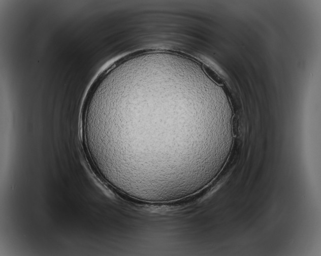 X0000086000940200704131802