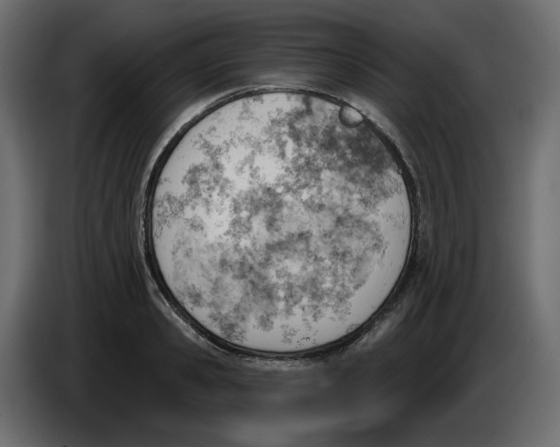 X0000086000941200704131802