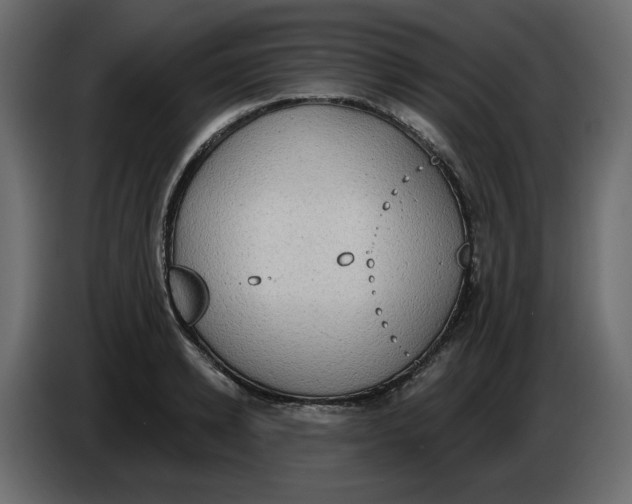 X0000086000942200704131802