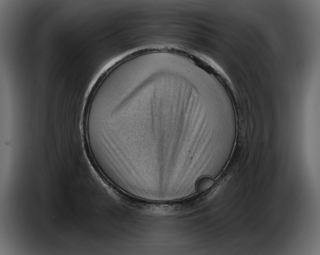 X0000086000943200704131802