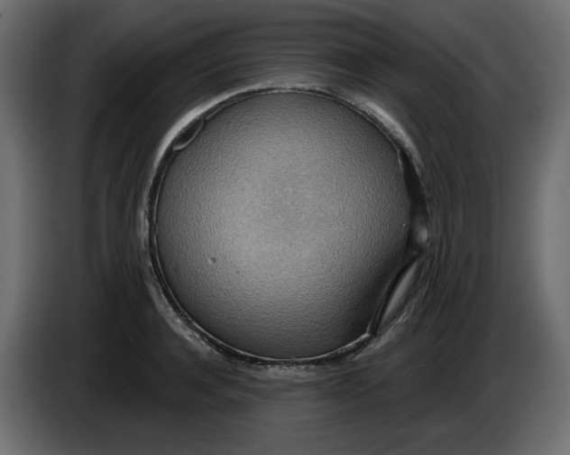 X0000086000944200704131802