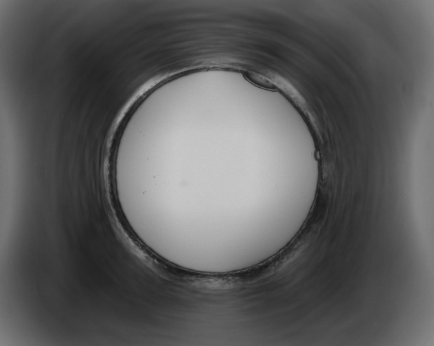 X0000086000947200704131802