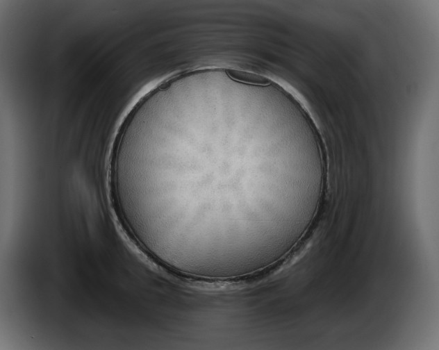 X0000086000949200704131802