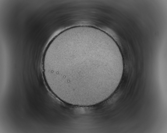 X0000086000950200704131802