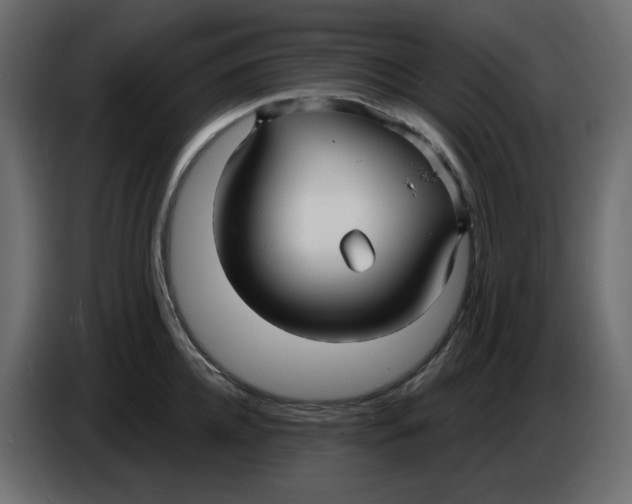 X0000086000952200704131802