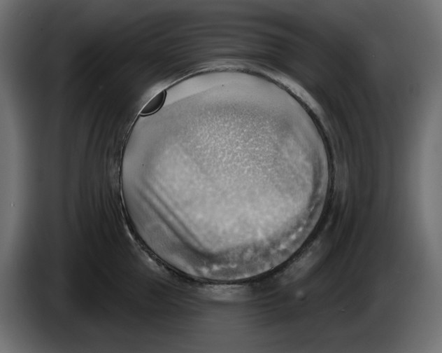 X0000086000953200704131802