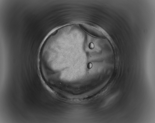 X0000086000955200704131802