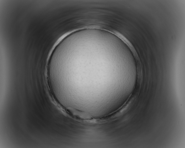 X0000086000956200704131802