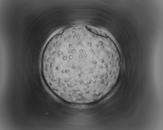 X0000086000957200704131802