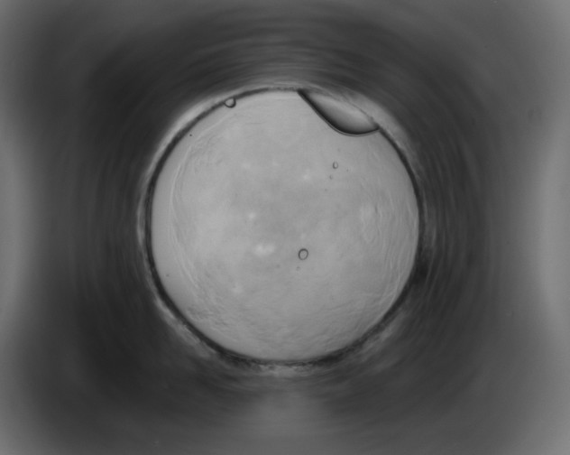 X0000086000958200704131802