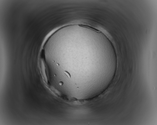 X0000086000960200704131802