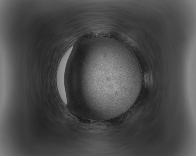 X0000086000963200704131802