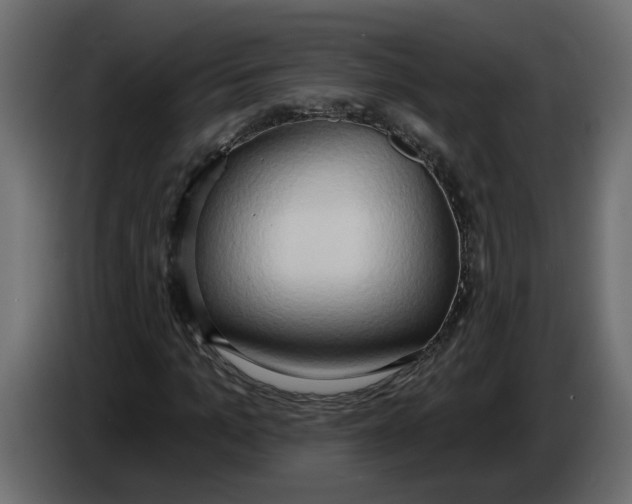 X0000086000965200704131802