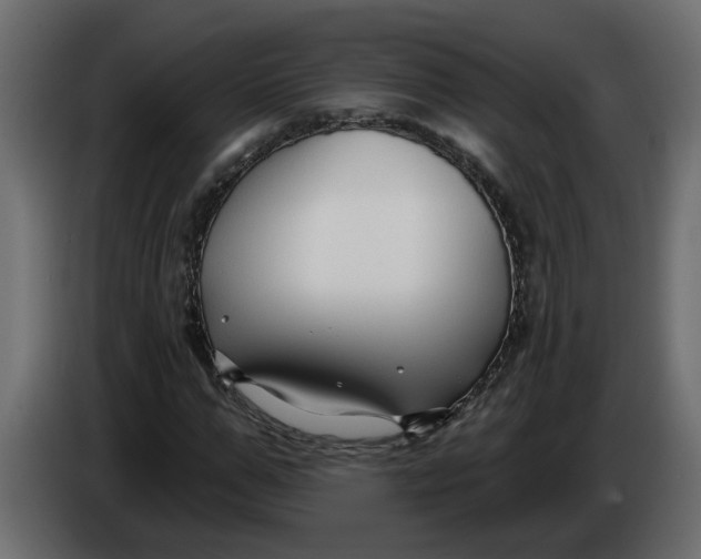 X0000086000967200704131802