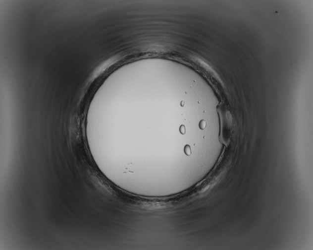 X0000086000970200704131802