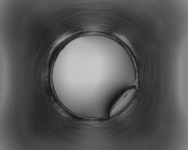 X0000086000971200704131802