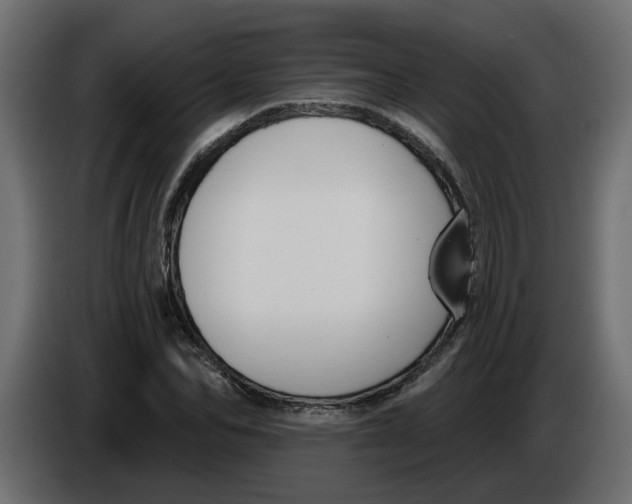 X0000086000974200704131802