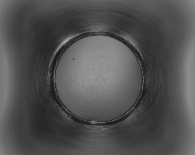 X0000086000975200704131801