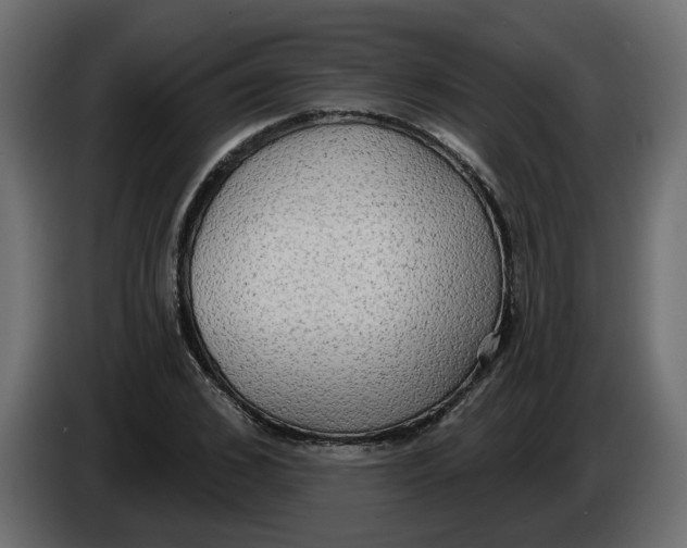 X0000086000976200704131801