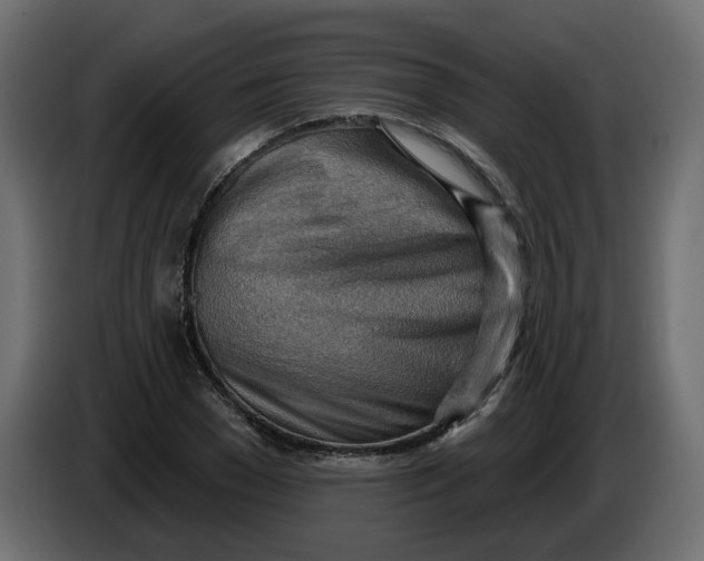 X0000086000977200704131801