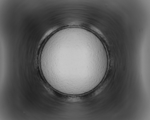 X0000086000978200704131801