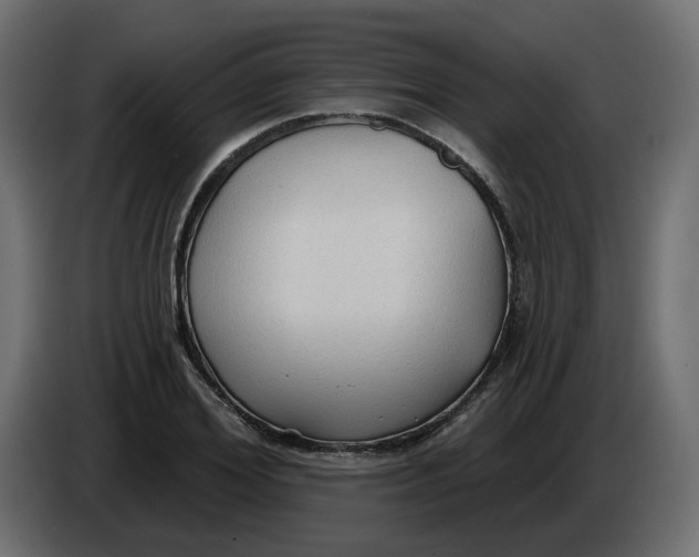 X0000086000980200704131801