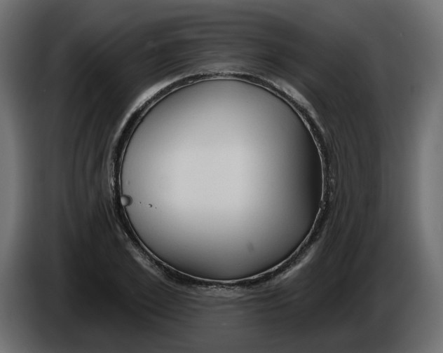 X0000086000981200704131801